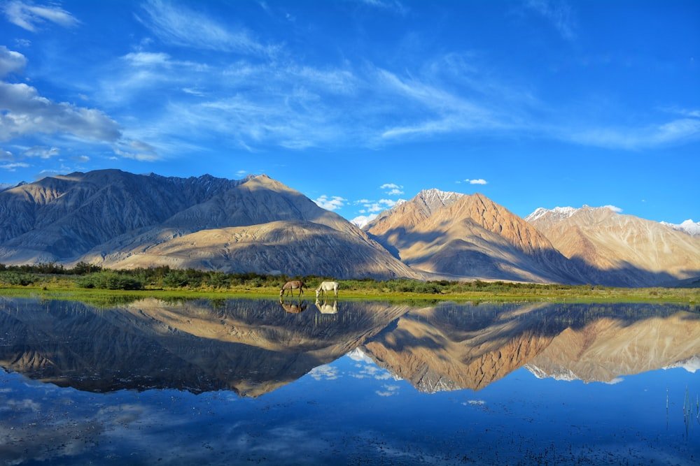leh_ladakh_tour.jpeg